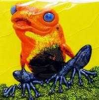 Прыг-скок, лягушонок!, , 2004