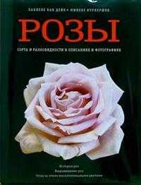 Розы. Сорта и разновидности, Ван Дейк, 2003