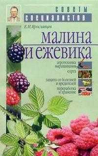Малина и ежевика, Ярославцев, 2009