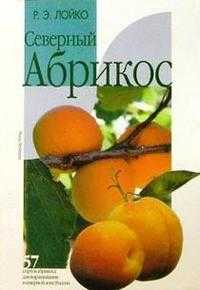 Северный абрикос, Лойко, 2003