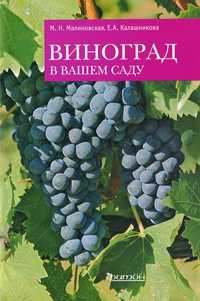Виноград в вашем саду, Малиновская М.Н., 2011