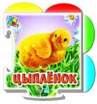 Цыпленок, Новицкий Е.В., 2010