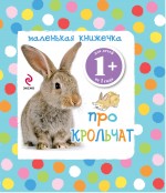 Маленькая книжечка про крольчат, , 2011