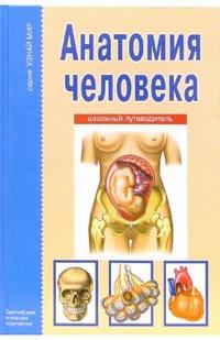 Анатомия человека. Школьный путеводитель, Афонькин Сергей, 2010