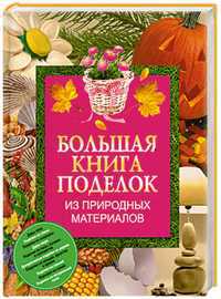 Большая книга поделок из природных материалов, Чебаева С.О., 2011