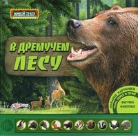 В дремучем лесу. Объемные картинки, голоса зверей и птиц, фигурки животных, , 2011
