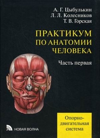 Практикум по анатомии человека. В 4-х частях. Учебное пособие. Часть 1: Опорно-двигательная система. Гриф УМО по медицинскому образованию, Колесников Лев Львович, 2012