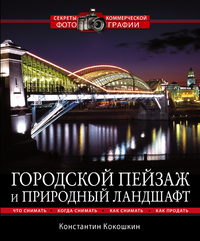 Городской пейзаж и природный ландшафт, Кокошкин К.П., 2011