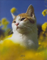 Календарь-2012. Кошки, , 2012