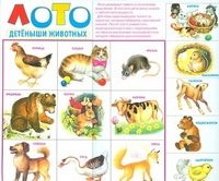 Лото. Детёныши животных. Разрезной плакат, , 0000