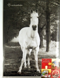 Фотоальбом "Animals black & white", , 0000