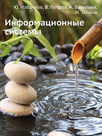 Информационные системы, Ю. Избачков, 2010