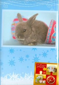 Фотоальбом "Winter rabbits", , 0000