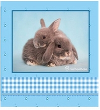 Фотоальбом "Sweet couple", , 0000