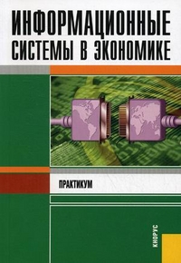 Информационные системы в экономике. Практикум. Гриф УМО МО РФ, Акинин П.В., 2012
