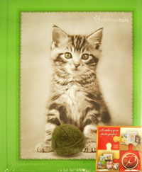 Фотоальбом "Love animals, colour", , 0000
