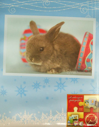 Фотоальбом "Winter rabbits", , 0000