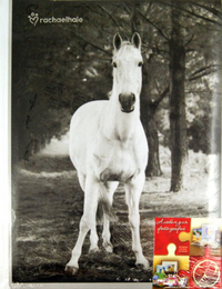 Фотоальбом "Animals black & white", , 0000