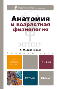 Анатомия и возрастная физиология. Учебник для бакалавров, Дробинская А.О., 2012