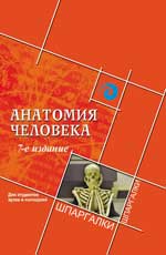 Анатомия человека для студенческих ВУЗов и колледжей, Швырев А.А., 2012