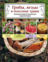 Грибы, ягоды и полезные травы, Ильина Т.А., 2012