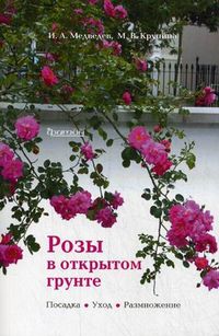 Розы в открытом грунте, Медведев Игорь Александрович, 2012