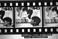 КИНОхроники подполья, Васильева-Халл Н., 2012