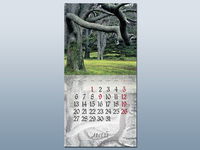 Перекидной календарь "Лесные тайны" на 2013 год, , 2012