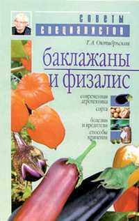 Баклажаны и физалис, Октябрьская Татьяна, 2004