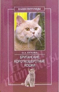 Британские короткошерстные кошки, Пухова Олеся, 2011