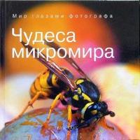 Чудеса микромира, Сочивко Андрей, 2006