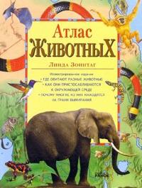 Атлас животных, Зоннтаг Линда, 2005