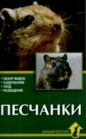 Песчанки, Рахманов А.Г., 2010