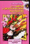 Все о цветах и экзотических растениях в вашем доме, Хапова С.А., 2006