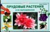 Прудовые растения и их выращивание, Ламберт Д., 0000