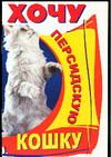 Хочу персидскую кошку, , 2004