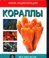 Кораллы, Воронов М.В., 2004