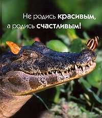 Не родись красивым, а родись счастливым, Вандербук Т., 2006