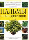 Пальмы и папоротники, , 0000