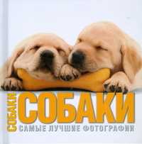 Собаки. Самые лучшие фотографии, Буоно В., 2006