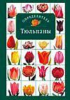 Тюльпаны, Лисянский Б.Г., 2002