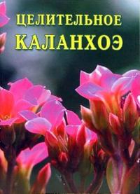 Целительное каланхоэ, Дубровин Иван, 2007