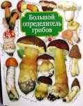 Большой определитель грибов, Юдин А.В., 2010