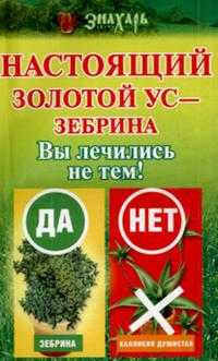 Настоящий золотой ус - зебрина. Вы лечились не тем!, Савина Анастасия, 2007