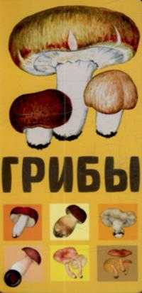 Грибы, , 0000