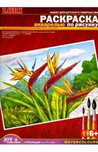Раскраска акварелью: Стрелиции (Рн-025), , 0000