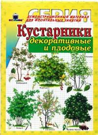 Кустарники декоративные и плодовые, , 2011