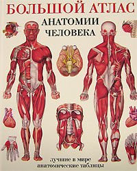 Большой атлас анатомии человека, , 2008