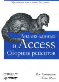 Анализ данных в Access. Сборник рецептов, Блюттман Кен, 2008