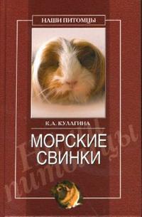 Морские свинки, Кулагина Кристина, 2008